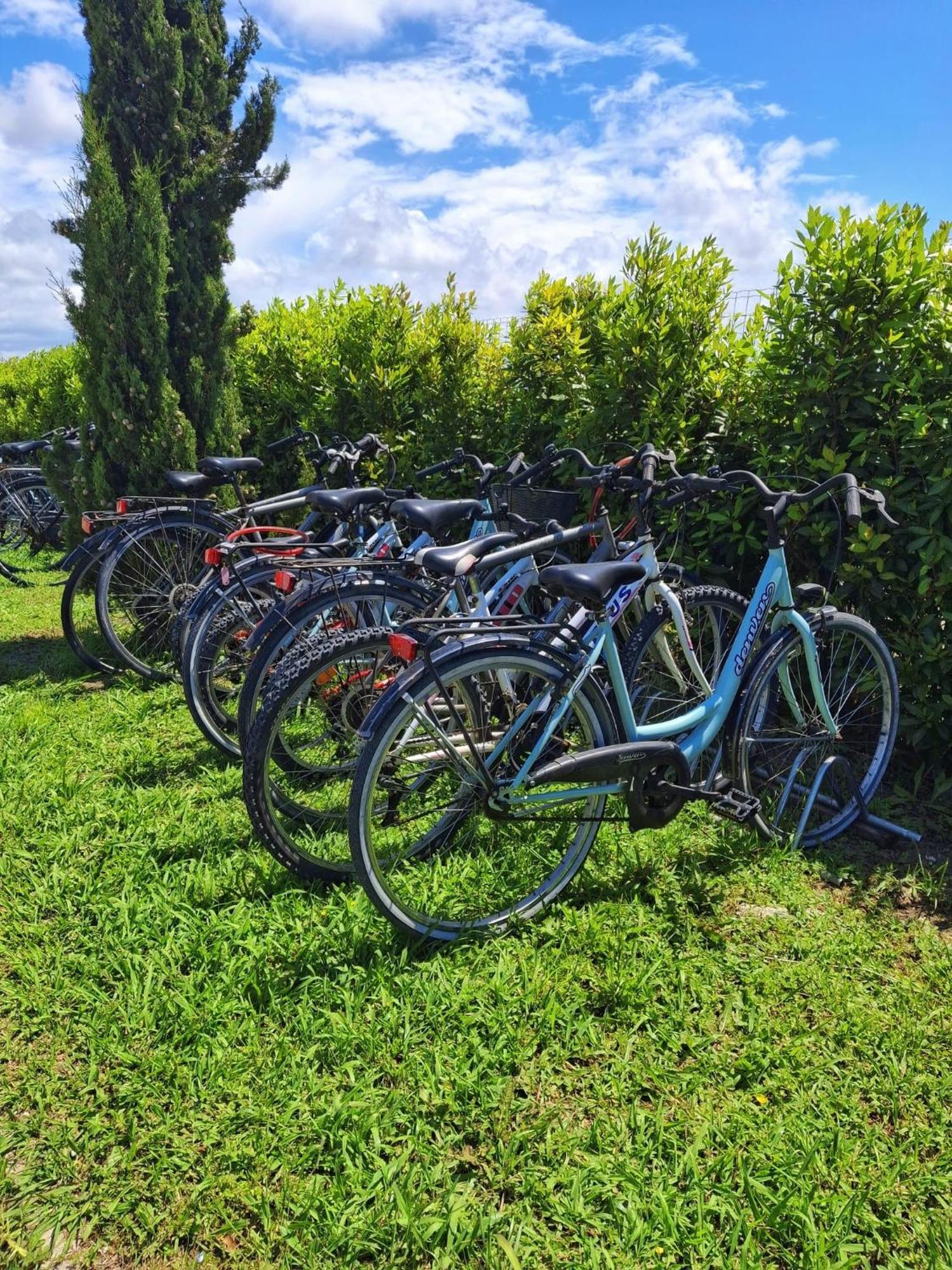 Delfino Tuscany Resort Marina di Cecina Esterno foto
